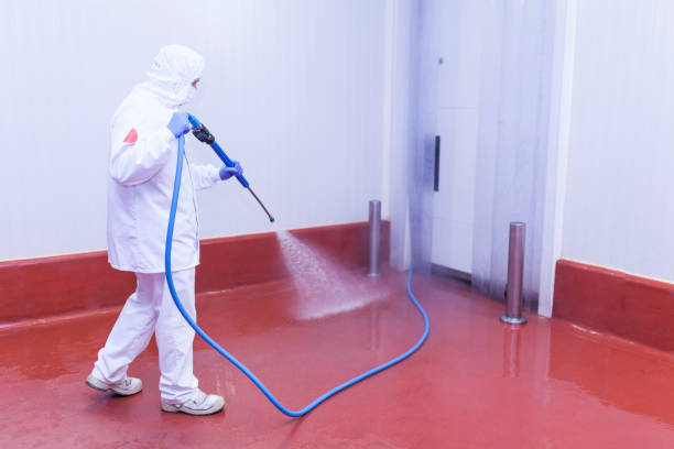 Winterizing Services in San Benito, TX