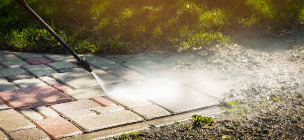 Reliable San Benito, TX Pressure Washing Services Solutions