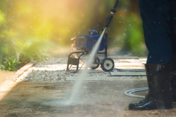 Best Roof Washing  in San Benito, TX